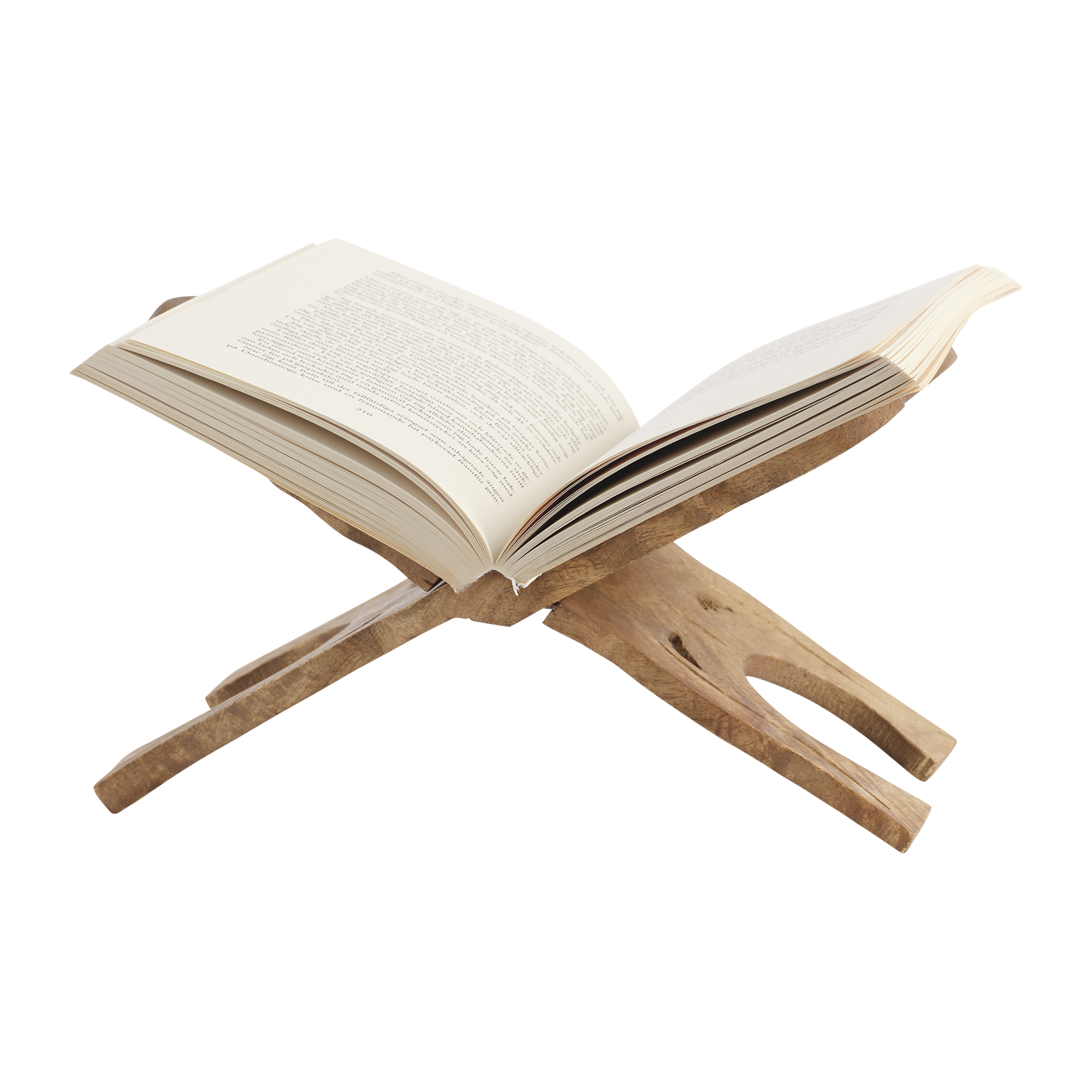 Treasure Book Stand